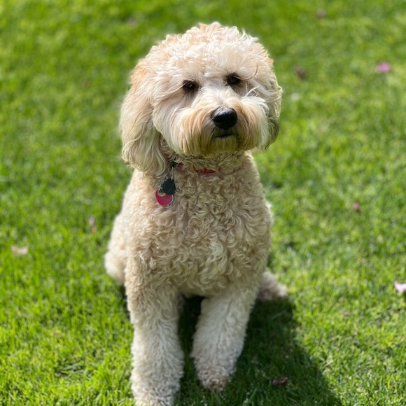 Just a girl who loves travel, fashion, and finds! - Picture 11 of 11